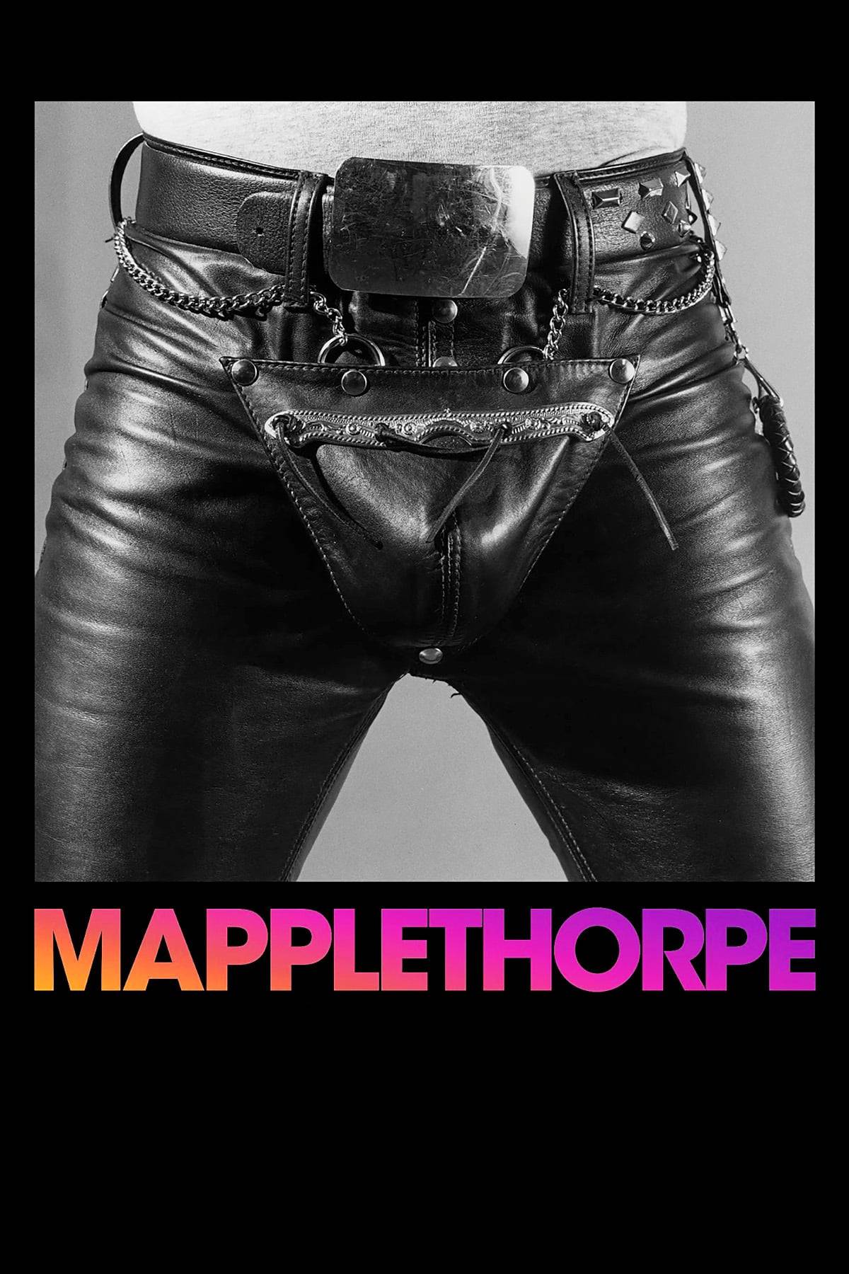 Mapplethorpe: The Director\'s Cut